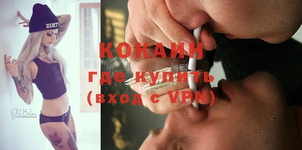мдпв Магас