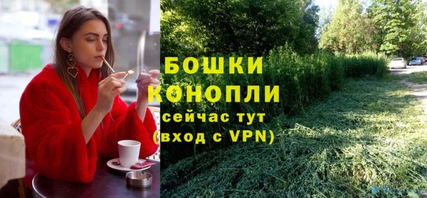 мдпв Магас