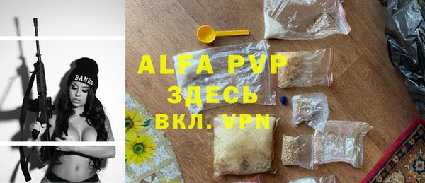 мдпв Магас