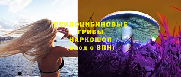 спиды Майский